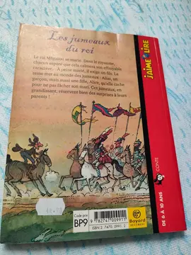 les jumeaux du roi j'aime lire