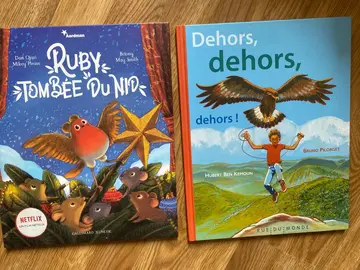 2 grands livres pour petit enfant
