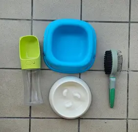 Accessoires Chien