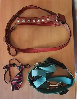 Deux laisses et une mini cravate