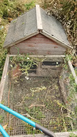 maison bois animaux
