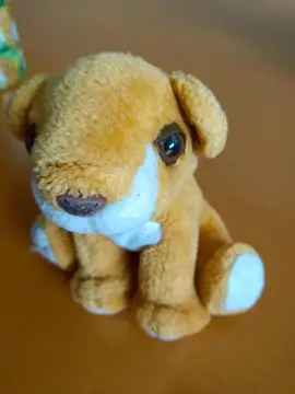 Peluche chien
