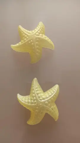 Étoiles de mer pour la plage