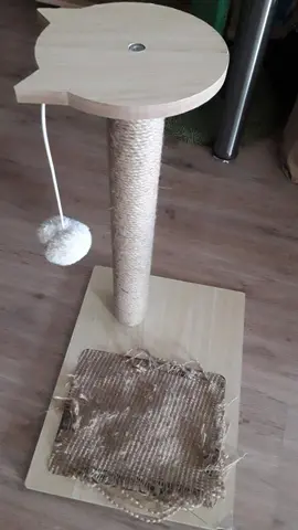 arbre à chat