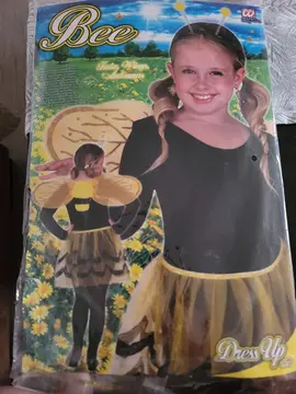 costume abeille