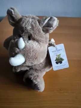 Peluche bouillotte