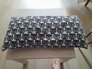 petit coussin chats