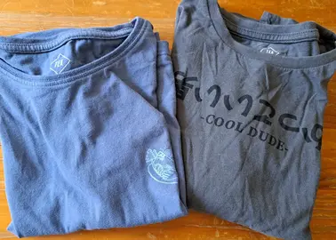 lot 2 tees-shirts enfants