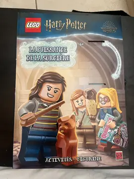 Lego - La puissance de la sorcière