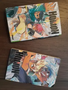 Horion tome 1 et 2