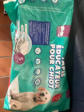 Alaise absorbante pour chien