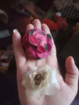 Barrettes fleurs