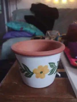 Petit pot pour plante