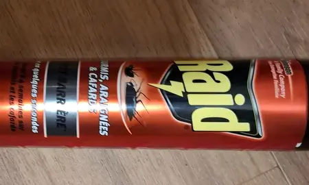 Vaporisateur Raid contre les insectes