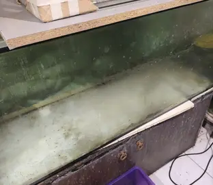 Aquarium