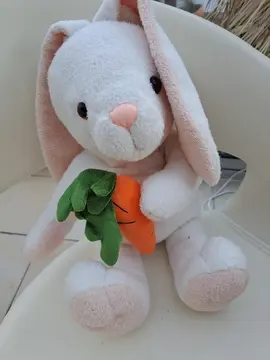 Peluche lapin et carotte