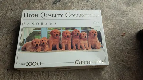 Puzzle Chiots