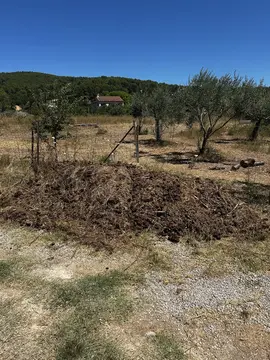 Fumier de cheval