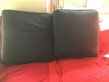 coussin d’assise