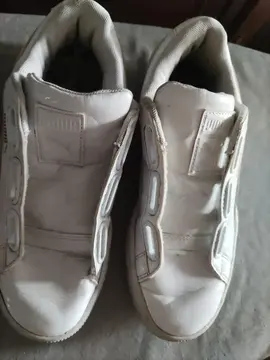 basket (Puma). femme. pointure 37.