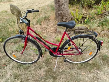 Vélo adulte
