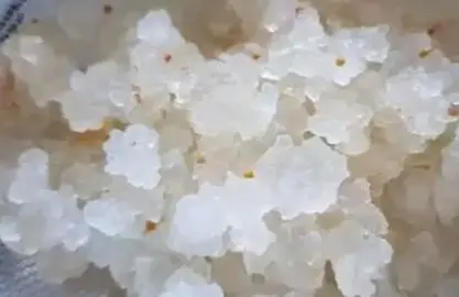 Graines de kéfrir pour faire de la limonade naturelle