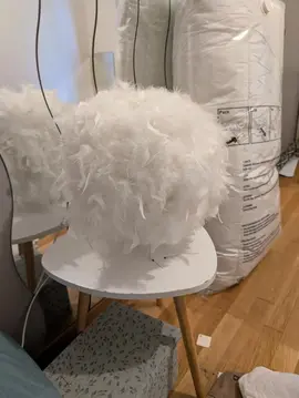 lampe en plume