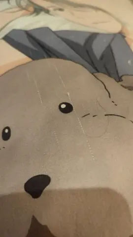 Oreiller manga dakimakura
