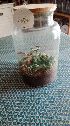 terrariums