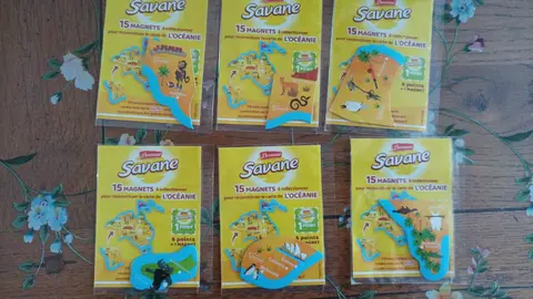 6 magnets Savane