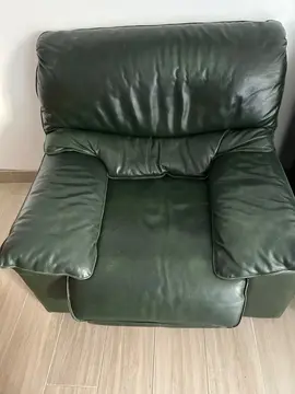 deux fauteuils en cuir de buffle vert