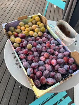 prunes