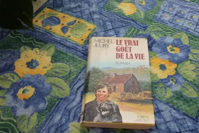 roman "Le vrai goût de la vie"