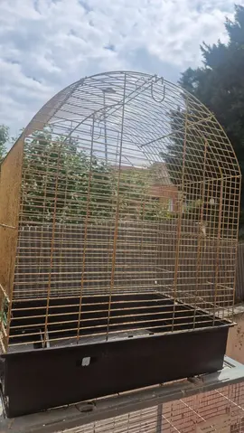 cage a oiseau