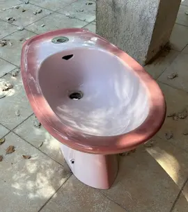 Bidet rose