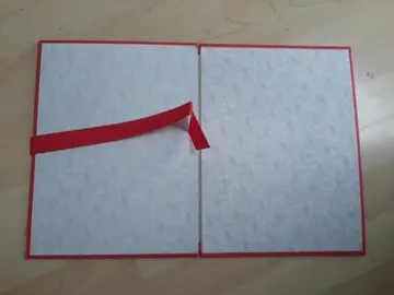 10 chemises neuves 24 x 32