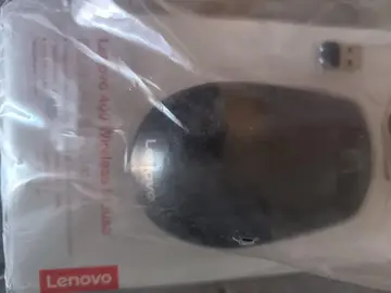 Souris