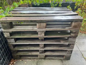 palettes bois