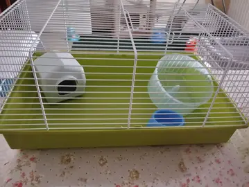 cage hamster