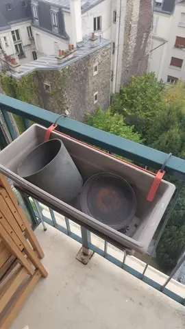 pots de plantes / jardinière