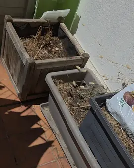 pots et terreau Urgent