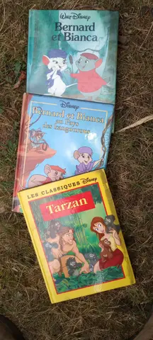 livres Disney