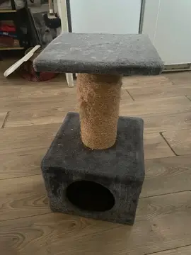 arbre à chat