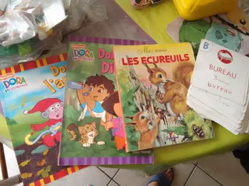 lot livres et fiches