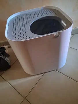 litière pour chat