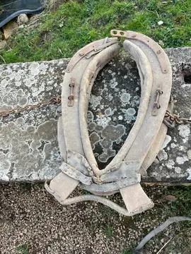 collier ancien cheval