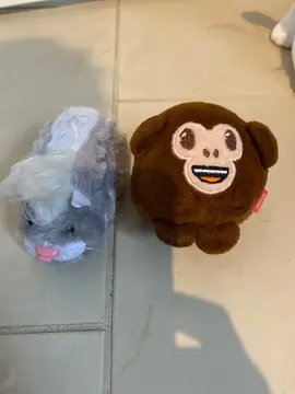 peluche