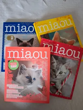 4 numéros magazine MIAOU