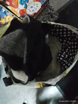 vêtements femme