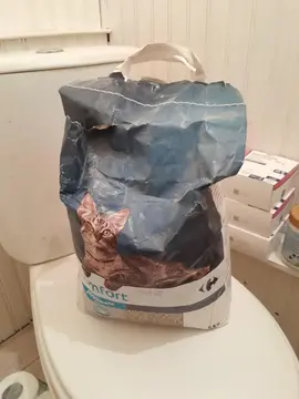 Litière pour chats